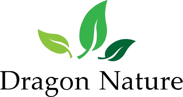 Dragon Nature